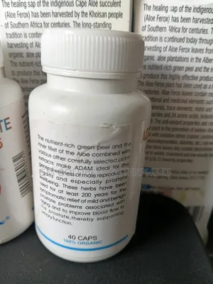 Adam Prostate