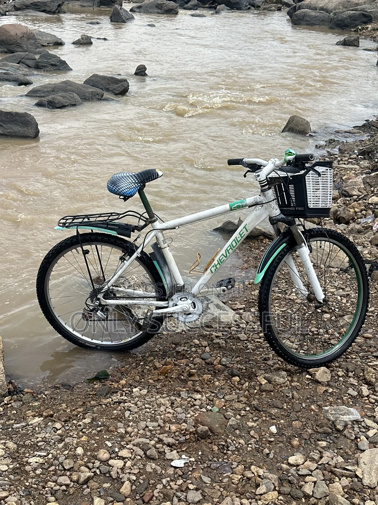 Used Bicycle