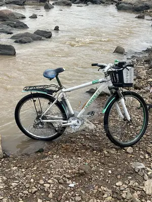 Used Bicycle