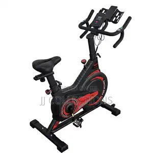 Spinning Bike Flywheel