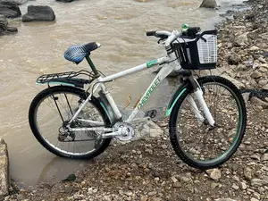Used Bicycle