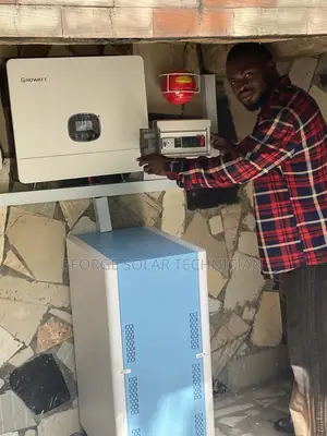 Affordable Inverter, Battery Panel Installation / Maintenance