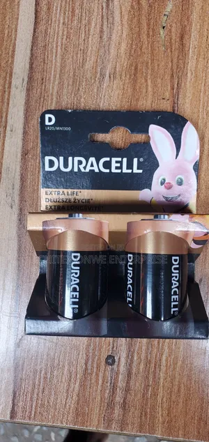 Duracell D Alkaline Battery - Pack of 2