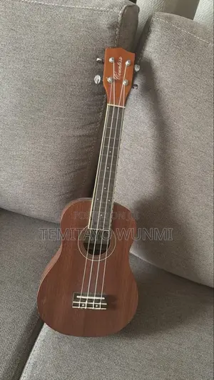 Neatly Used Guitar