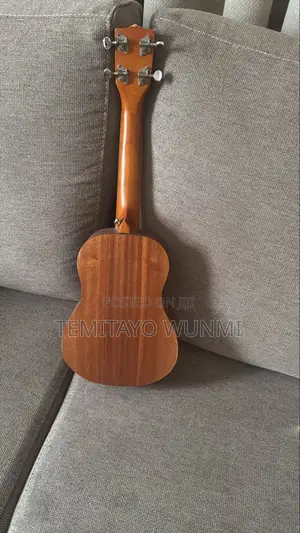 Neatly Used Guitar