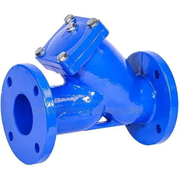 Strainer 3" Flange Type