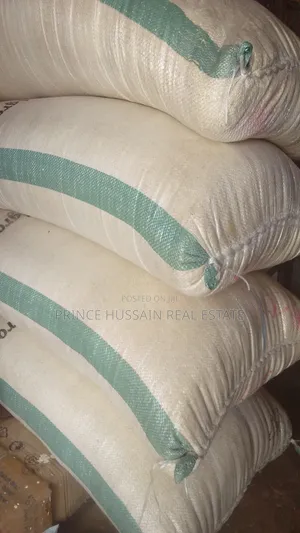 Garri Ebilo