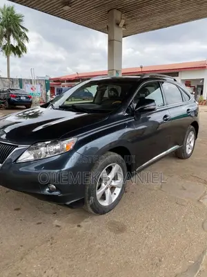 Lexus RX 350 2010 Gray