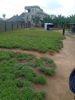 Land for Sale at Sars Road