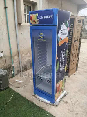 Snowsea 300L Commercial Display Cooler 165v-265v