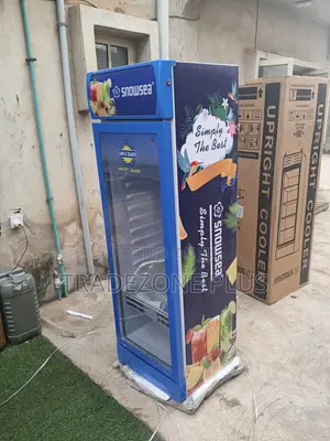 Snowsea LC-300W Blue Beverage Cooler 165v-265v