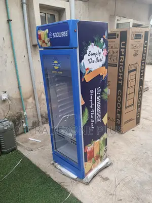Snowsea LC-300W Blue Beverage Cooler 165v-265v
