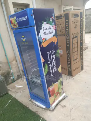 Snowsea 300L Commercial Display Cooler