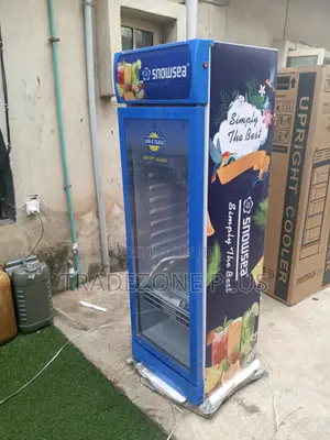 Snowsea Blue Single Door Upright Cooler