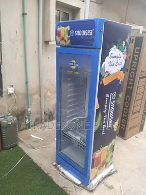 Snowsea LC-300W Shop Display Cooler