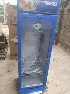 Snowsea LC-300W Cold Drinks Display Cooler