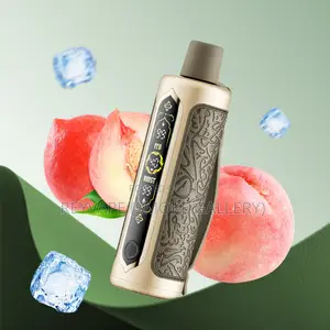 Oxbar Rovota Peach Ice Puffs Disposable Vape