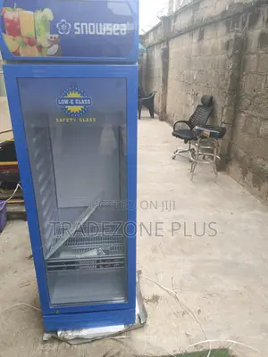 Snowsea Upright Cooling Cabinet 300L