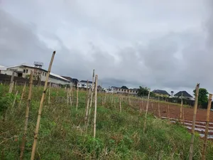 Industrial Land for Sale