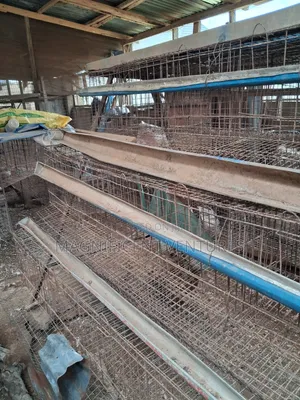 Poultry Bird Cage