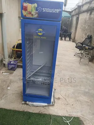 Snowsea Cooler for Retail Display