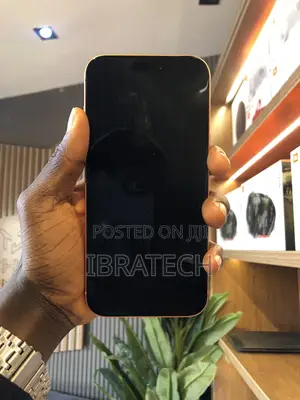 Apple iPhone 17 Pro Max 256 GB Orange
