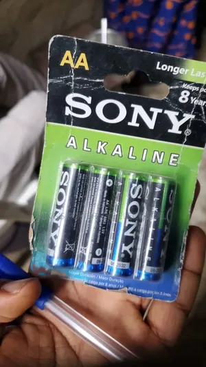 AA Akaline Battery