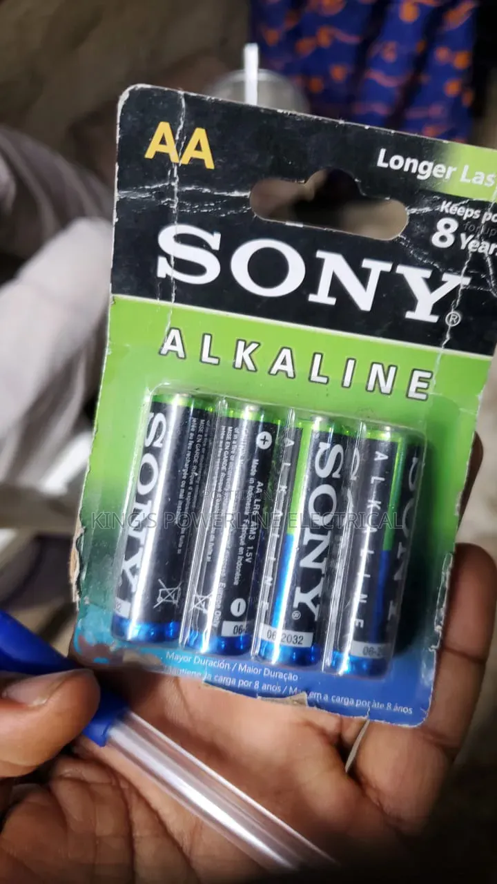 AA Akaline Battery