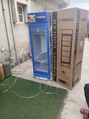 Snowsea 300L Retail Beverage Cooler