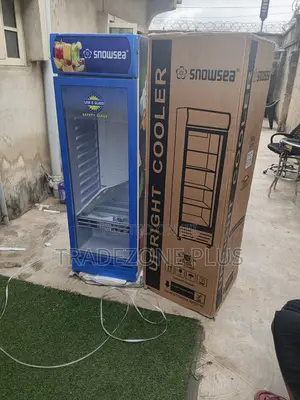 Snowsea 300L Retail Beverage Cooler