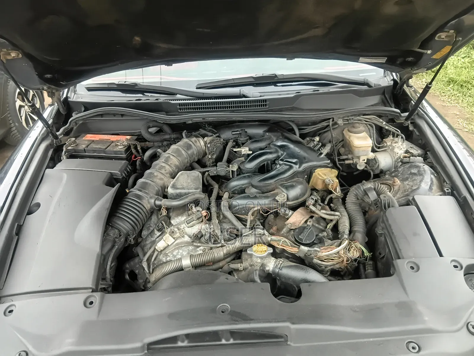 Lexus IS 2009 Blue