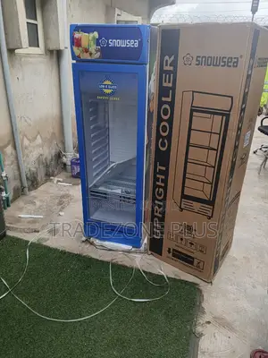 Snowsea Beverage Display Cooler for Shops