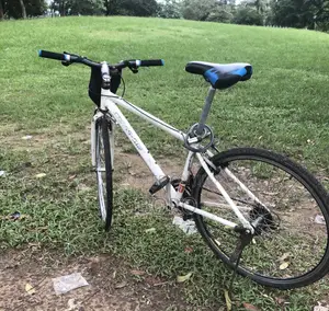 Gear-Bike BICYCLE