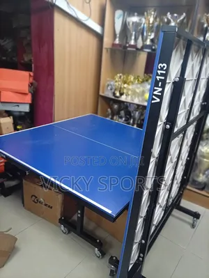 Outdoor Table Tennis