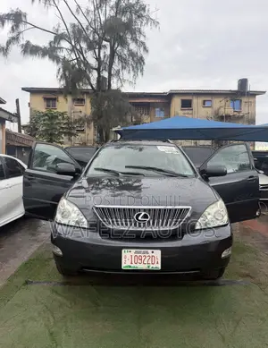 Lexus RX 350 4x4 2007 Gray