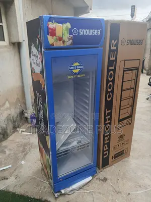 Snowsea Blue Retail Display Cooler