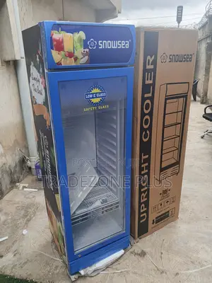 Snowsea Blue Retail Display Cooler