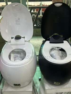 Luxurious Smart Water Closet