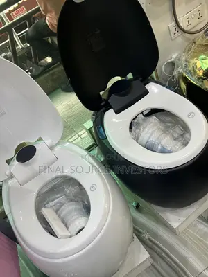 Luxurious Smart Water Closet