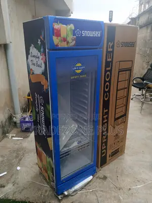 Snowsea Commercial Beverage Display Chiller