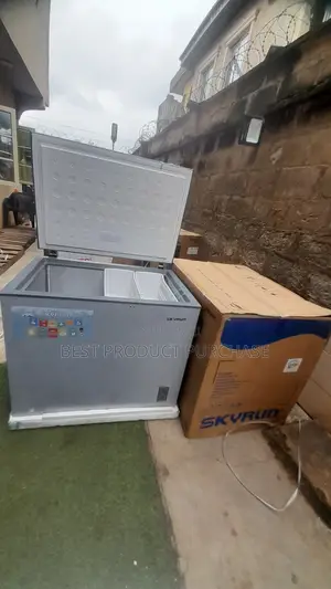 SkyRun BD-260A Storage Freezer for Businesses