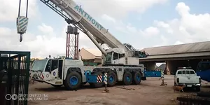 160 Ton Terrex Crane