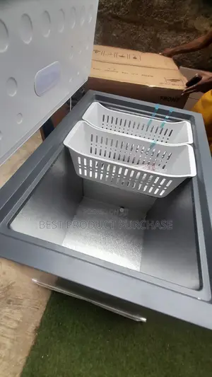 SkyRun BD-260A Freezer for Bulk Food Storage