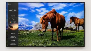 50-Inch LG Smart Oled TV