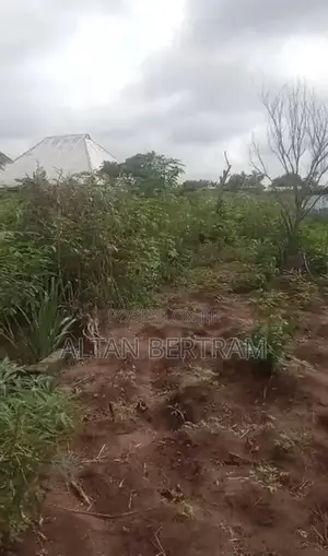 A Plot of Land
