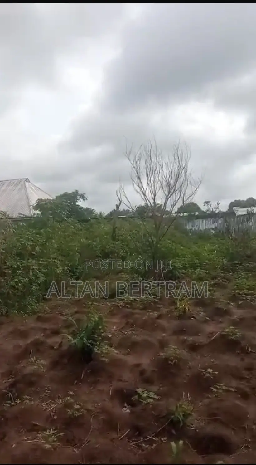 A Plot of Land