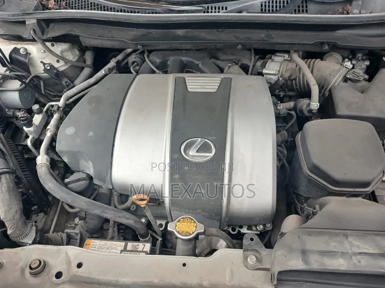 Lexus RX 2016 White