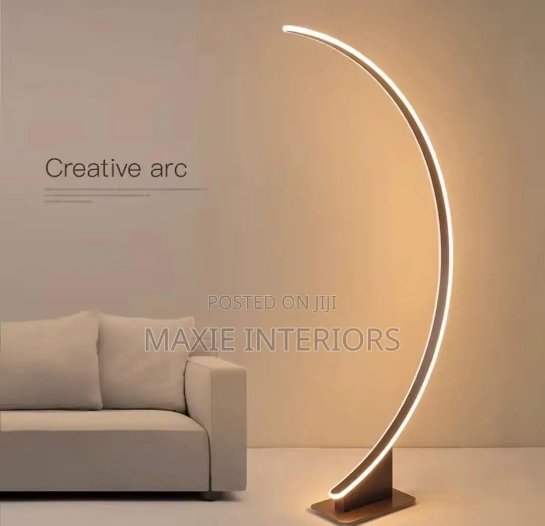 Modern LED Floor Lamp