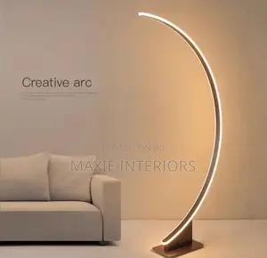 Modern LED Floor Lamp