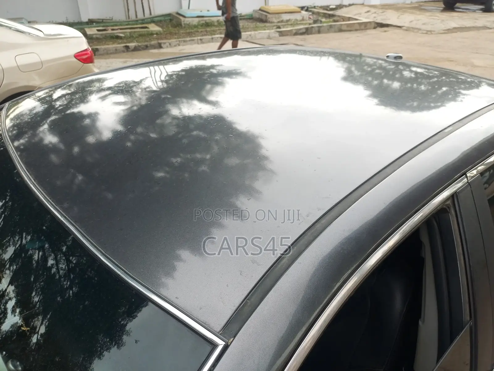 Toyota Camry 2010 Gray